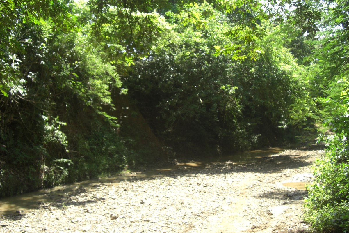 Arroyo en San Basilio de Palenque, 1 de diciembre de 2007. Foto: Kosmel Bonfante / Wikimedia Commons (CC BY 3.0). Recorte 3:2. No es la reunión de consulta previa.